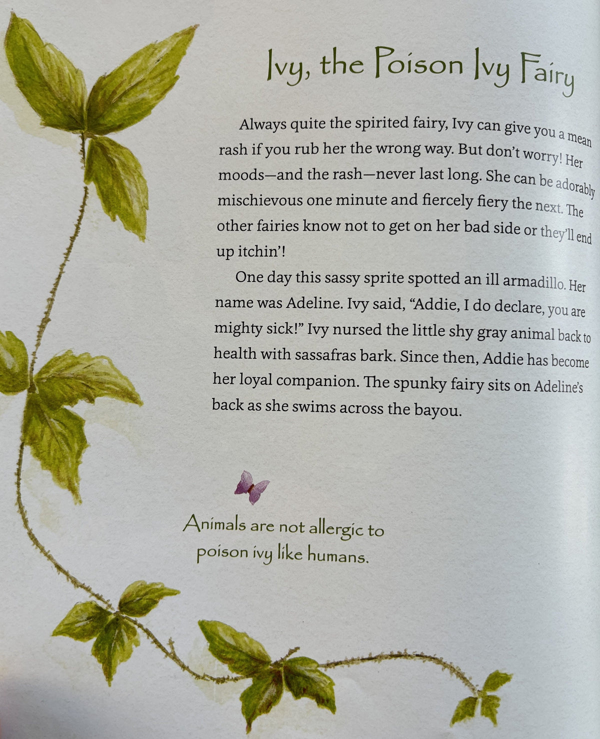 The Bayou Fairies (Signed copy) by Cher Levis Hunt