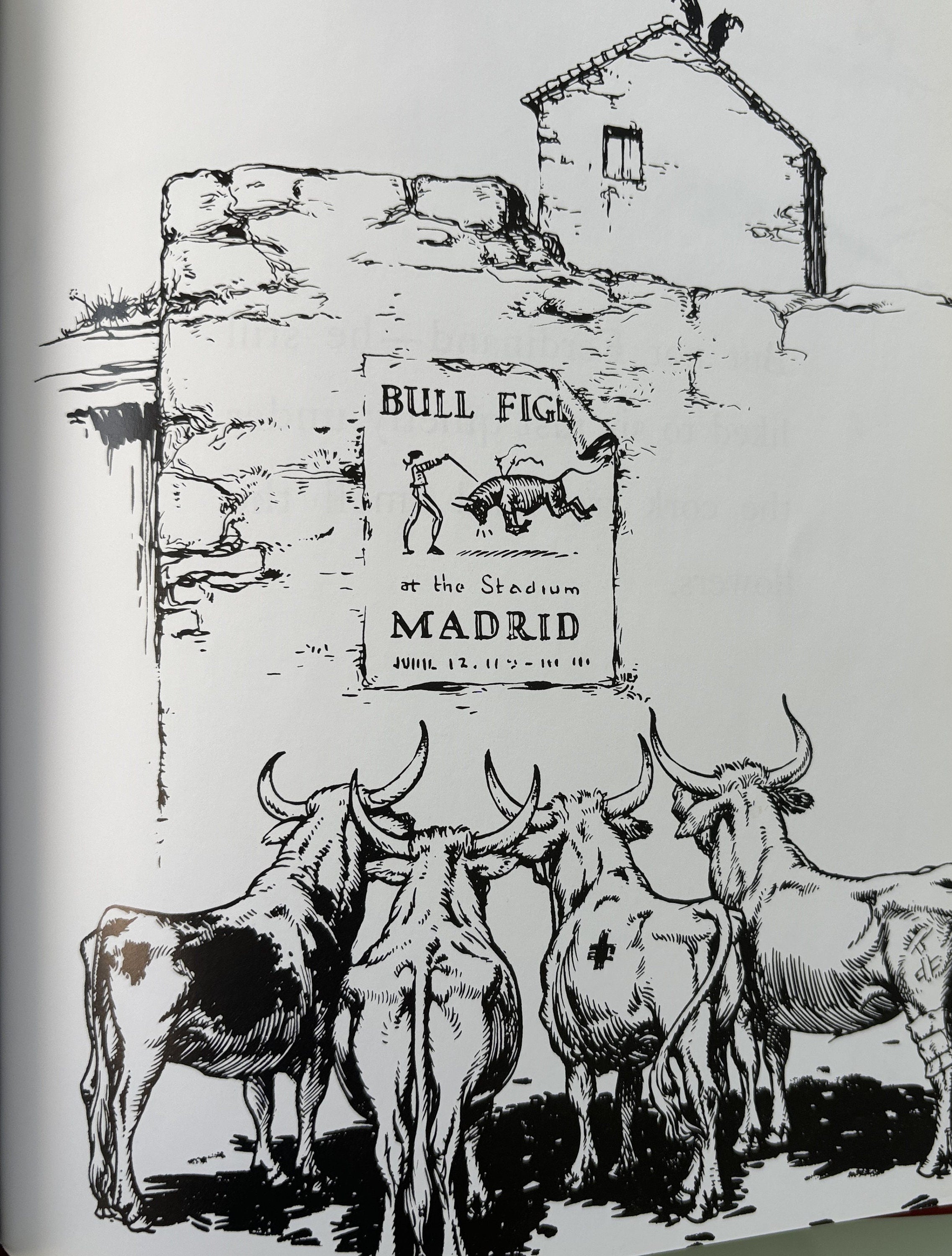 The Story of Ferdinand - by Munro Leaf  c 1964 HAND PICKED