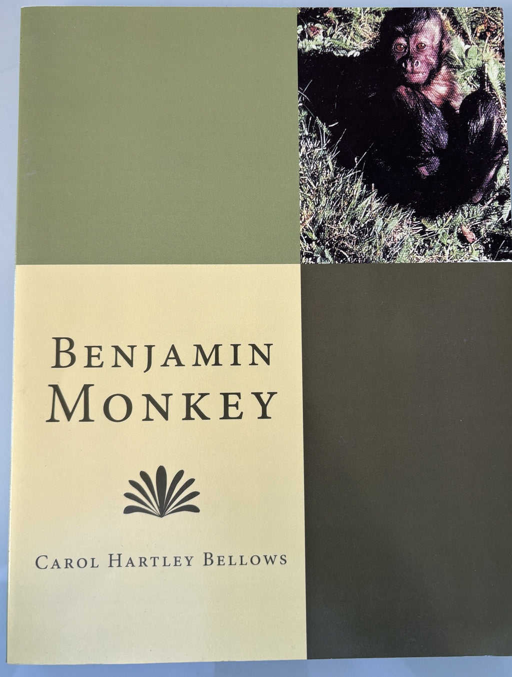 Benjamin Monkey by Carol H Bellows - Signed by Author, Softcover