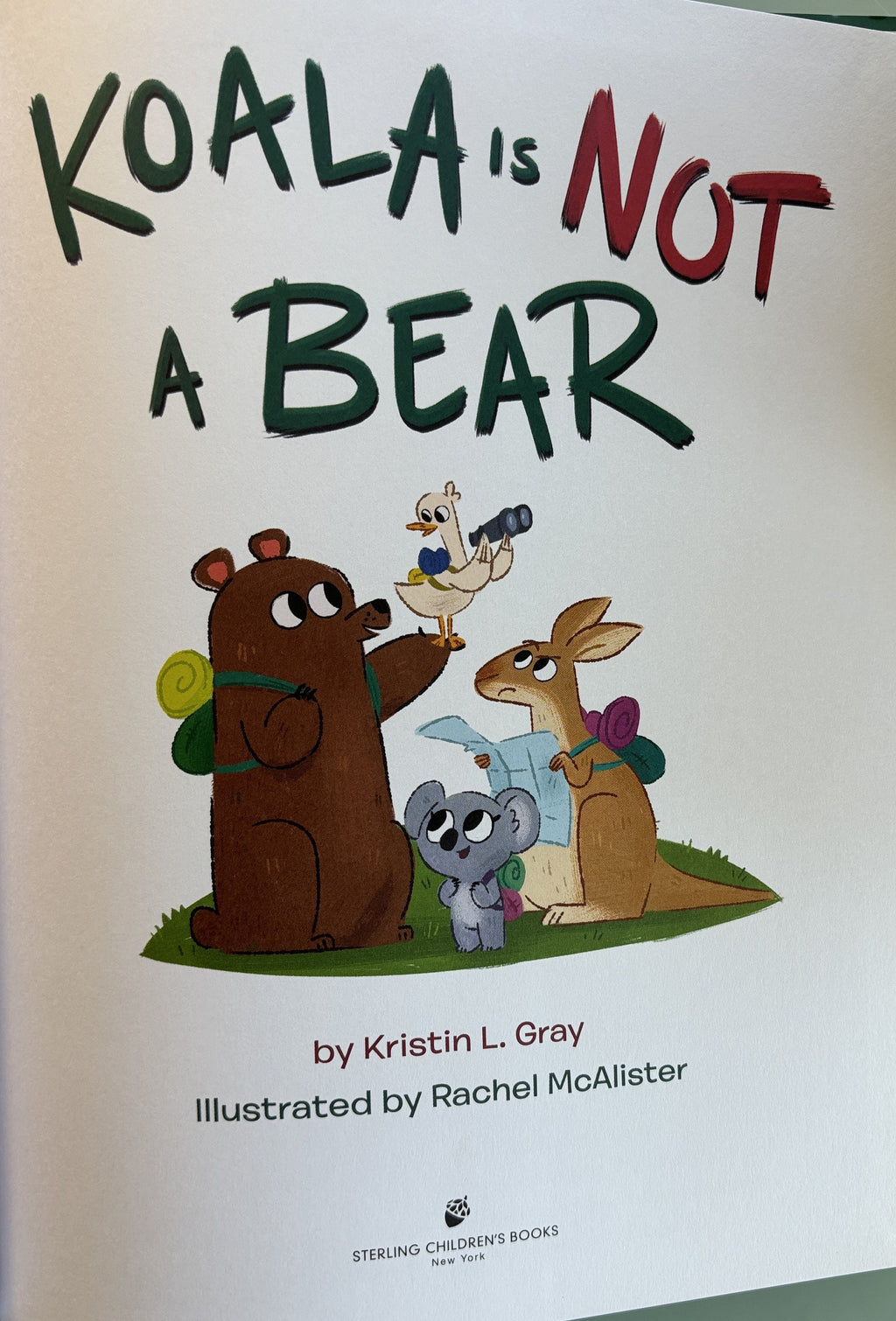 Koala is NOT a Bear by Kristin L Gray