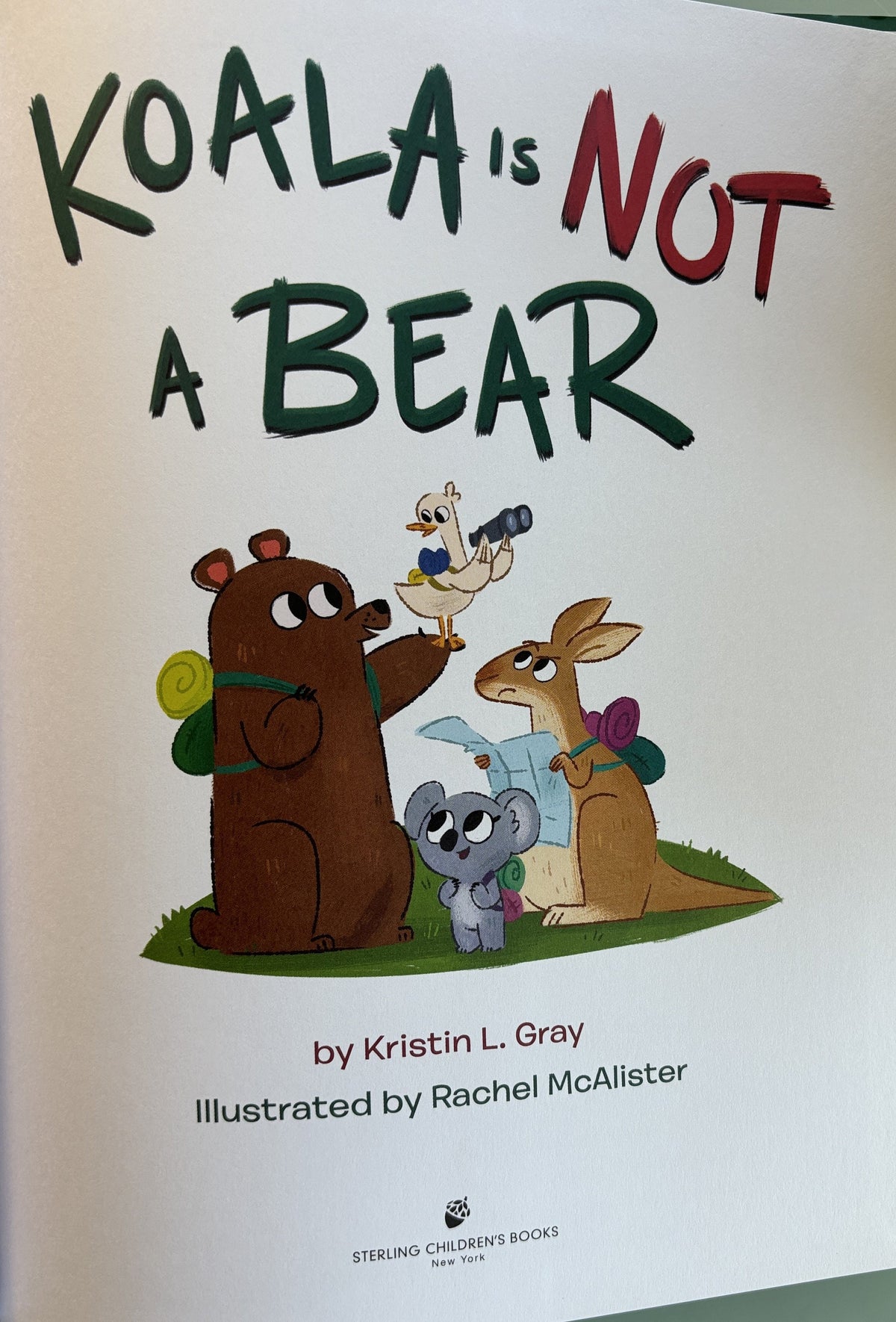 Koala is NOT a Bear by Kristin L Gray