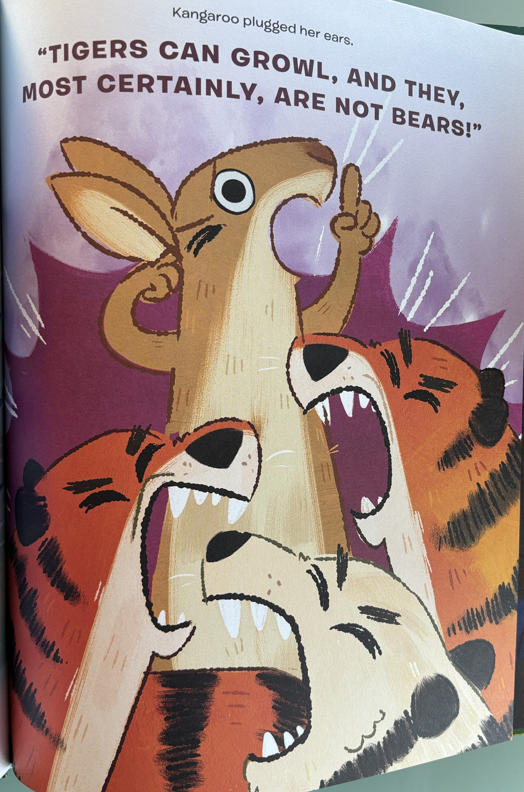 Koala is NOT a Bear by Kristin L Gray