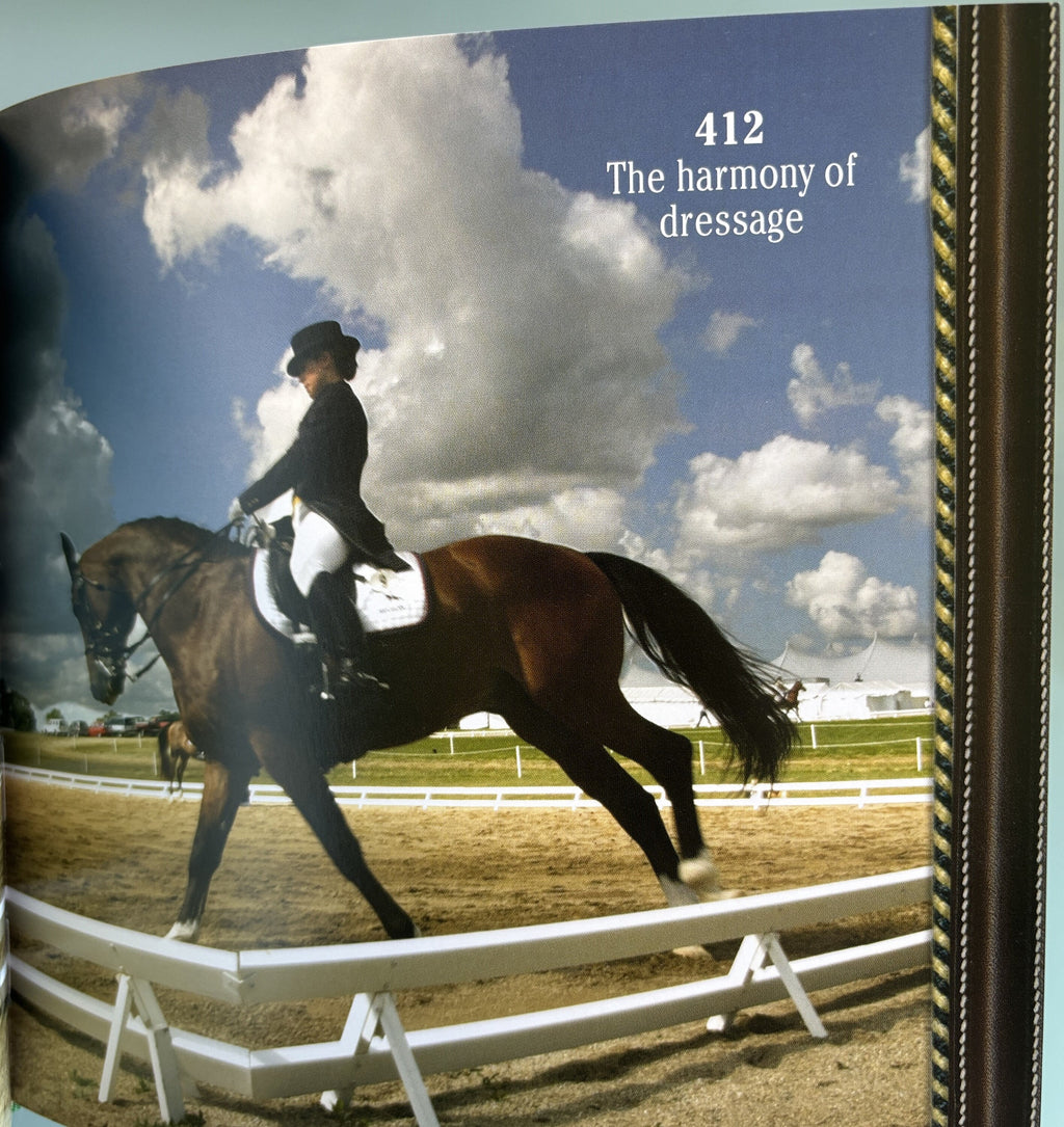 1001 Reasons to Love Horses