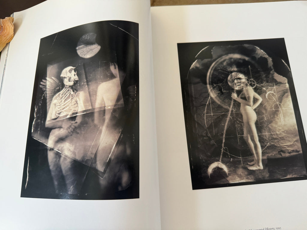 Picturing Eden Hardcover – by Deborah Klochko  Black History Month