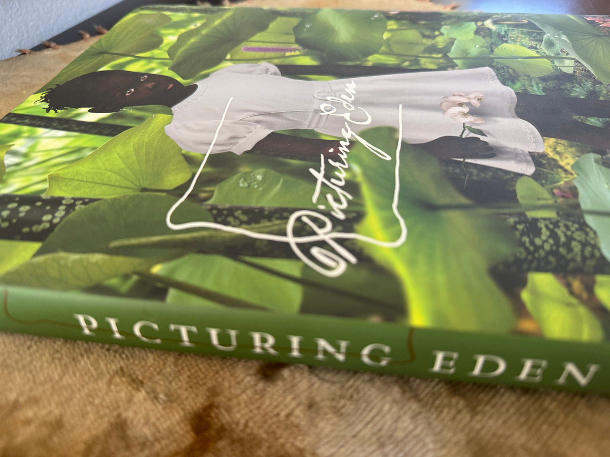 Picturing Eden Hardcover – by Deborah Klochko  Black History Month
