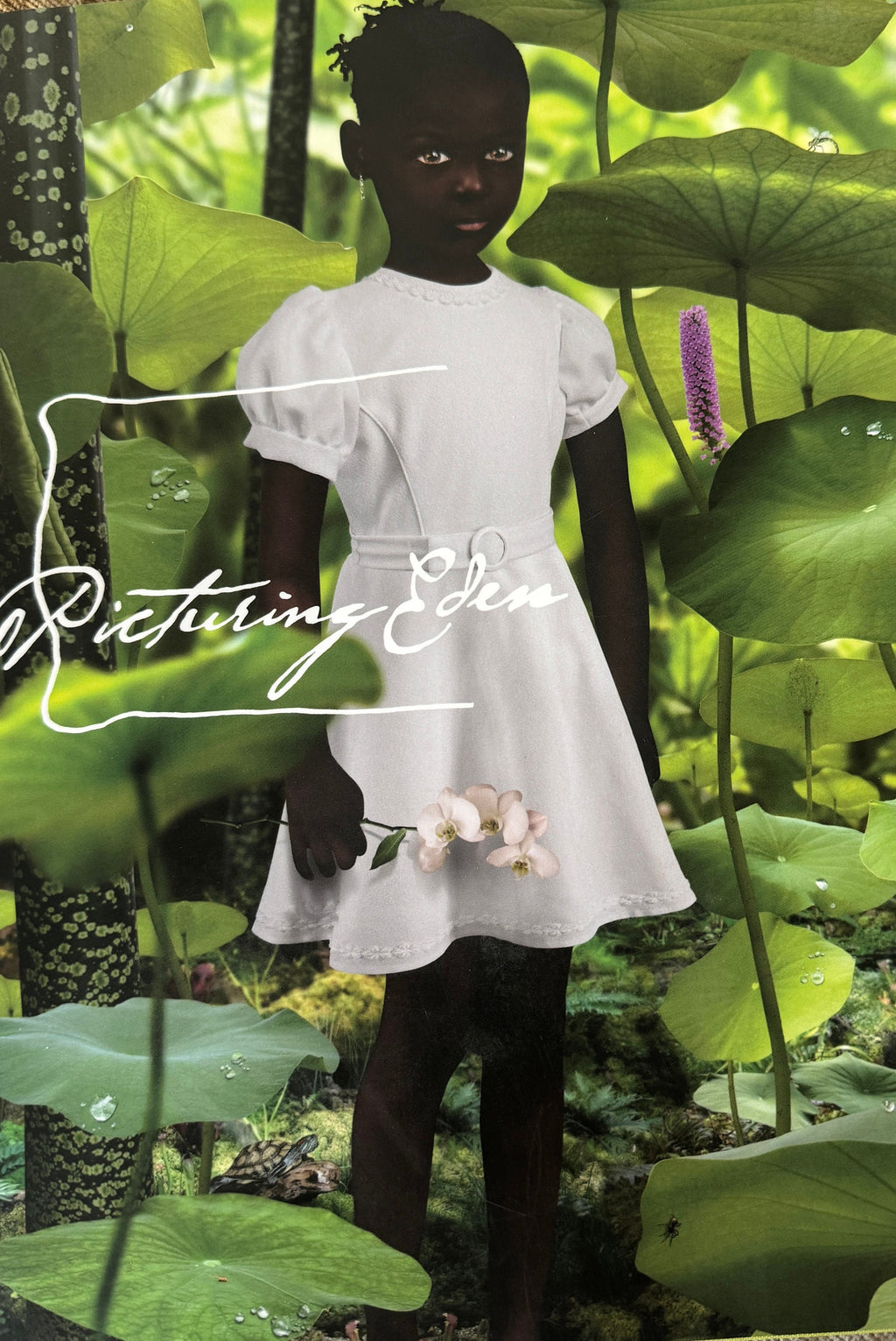 Picturing Eden Hardcover – by Deborah Klochko  Black History Month