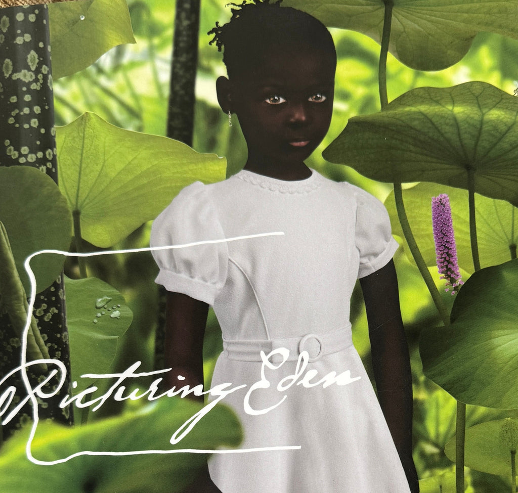 Picturing Eden Hardcover – by Deborah Klochko  Black History Month