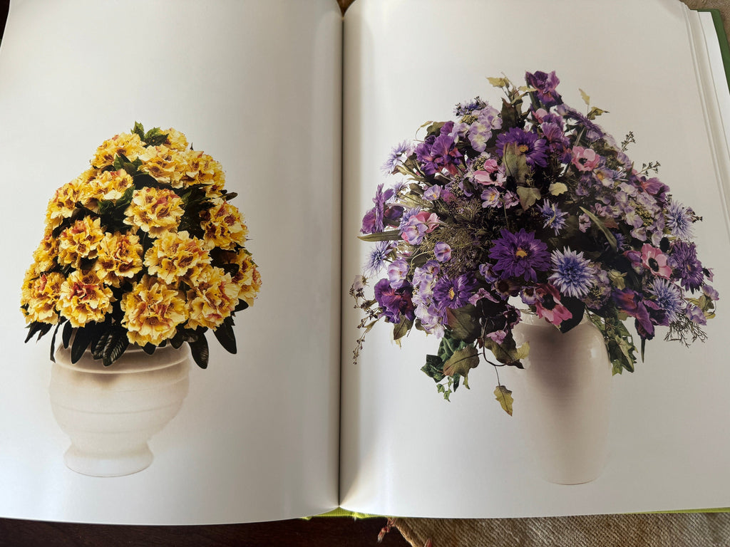 Picturing Eden Hardcover – by Deborah Klochko  Black History Month