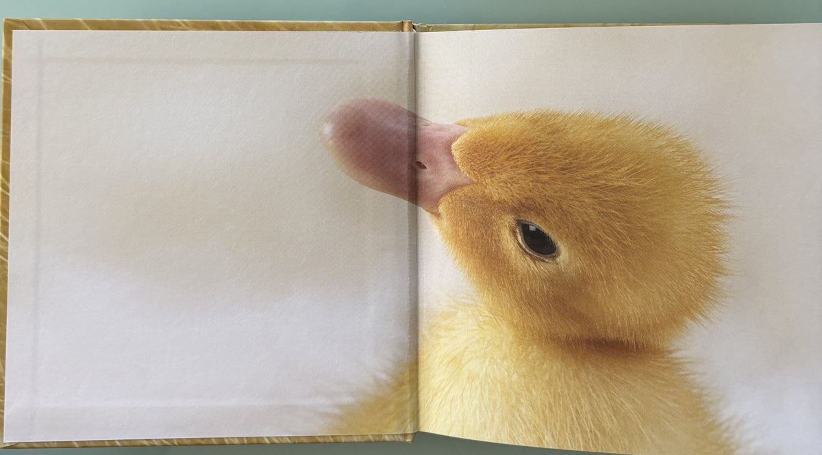 Mom, I'm a Lucky Duck - By Boy Elsdale
