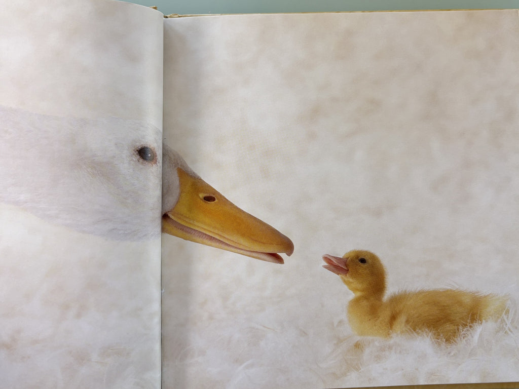 Mom, I'm a Lucky Duck - By Boy Elsdale