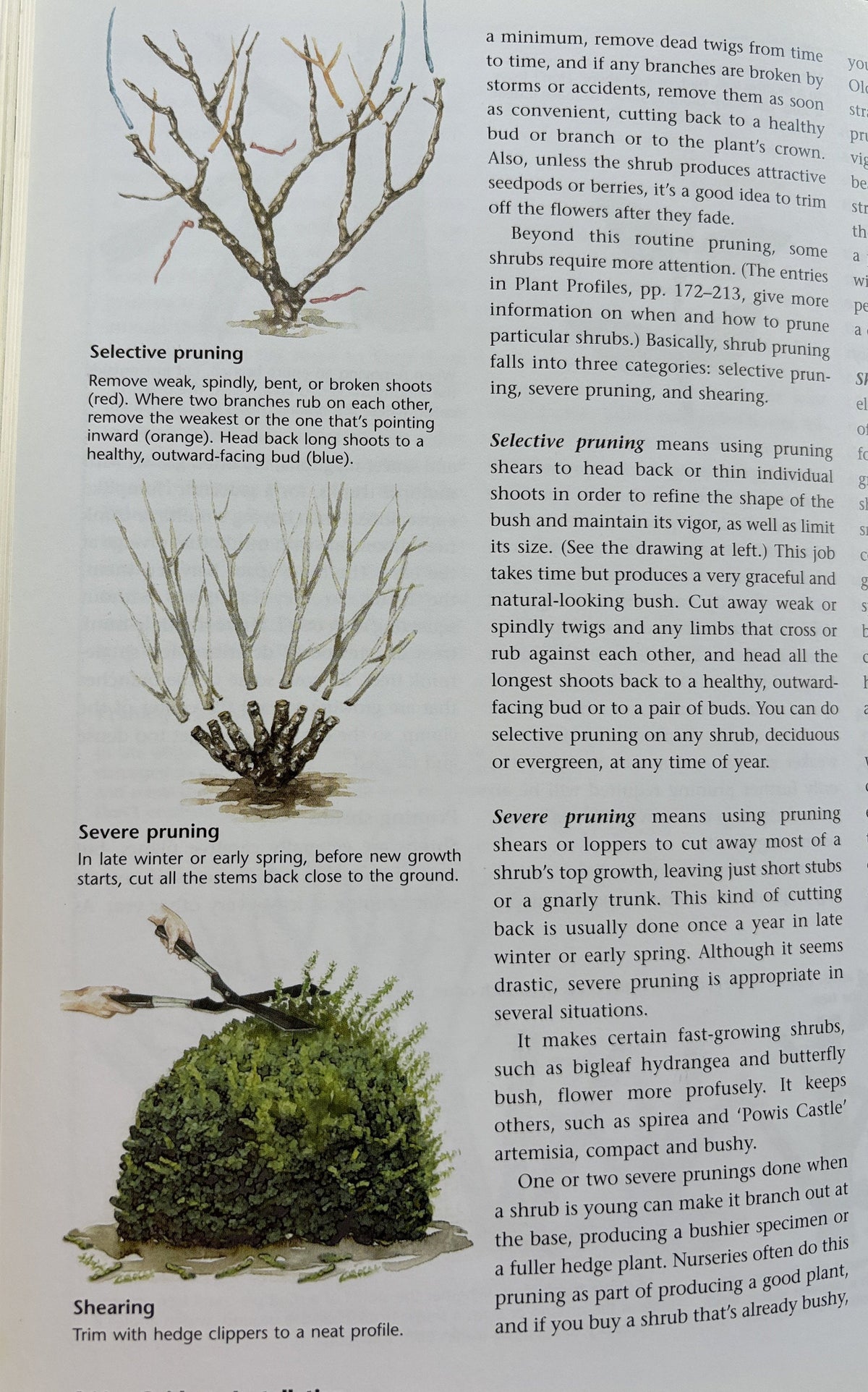 Californis Home Landscaping