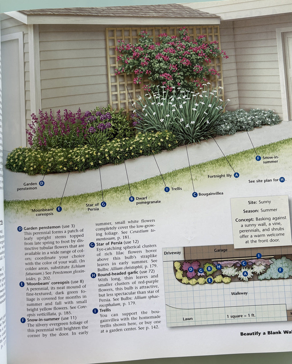 Californis Home Landscaping