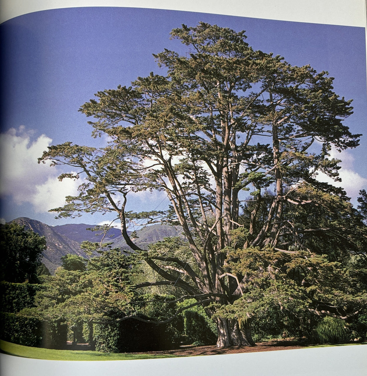 The Gardens of Southern California, GARDEN LOVER First Edition