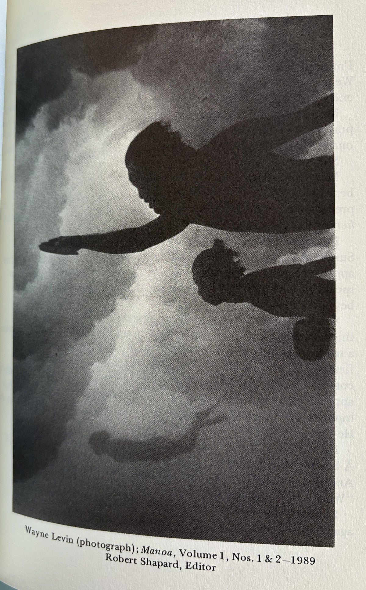 Editor's Choice III: Fiction, Poetry & Art - U.S. Small Press **  SIGNED by Author  **