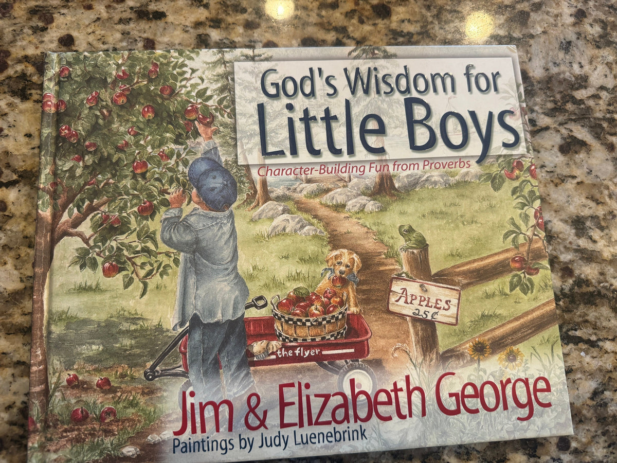 God's Wisdom for Little Boys : Character-Building Fun from Proverbs by Elizabeth Religious, Christian Gift