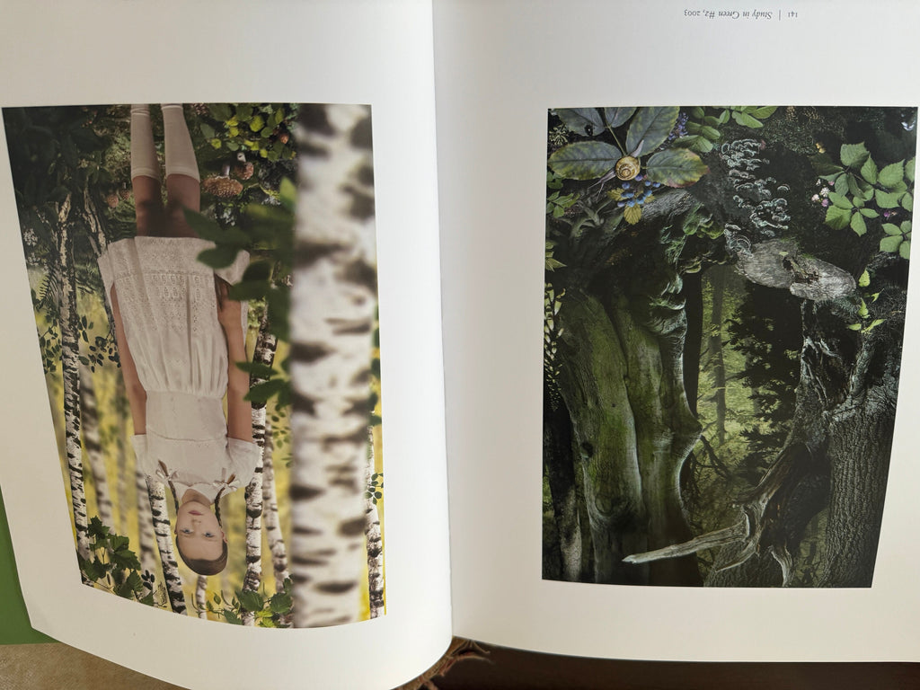 Picturing Eden Hardcover – by Deborah Klochko  Black History Month