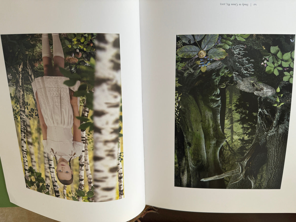 Picturing Eden Hardcover – by Deborah Klochko  Black History Month