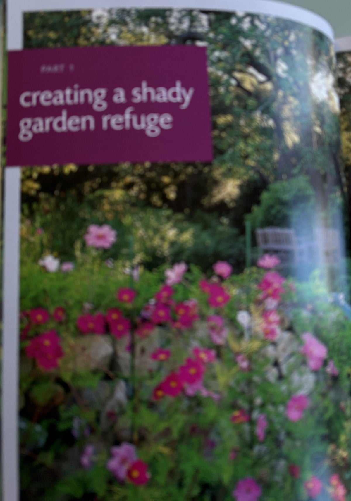 Shady Retreats - Landscaping Ideas