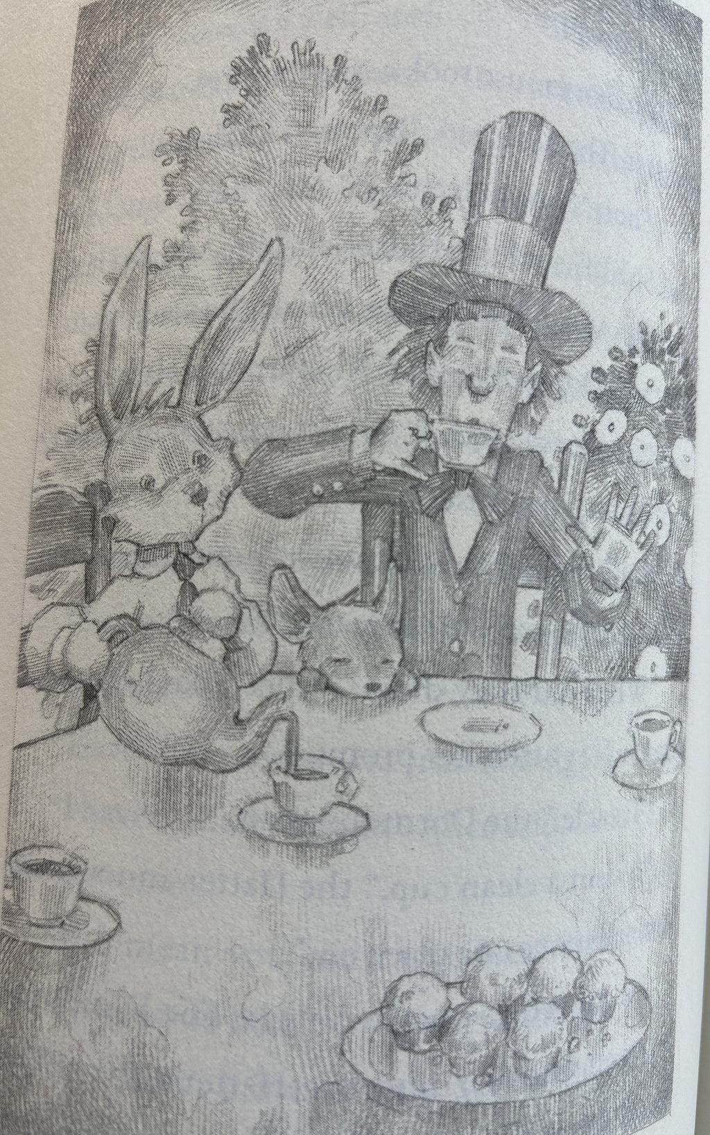 Alice in Wonderland & Through the Looking Glass