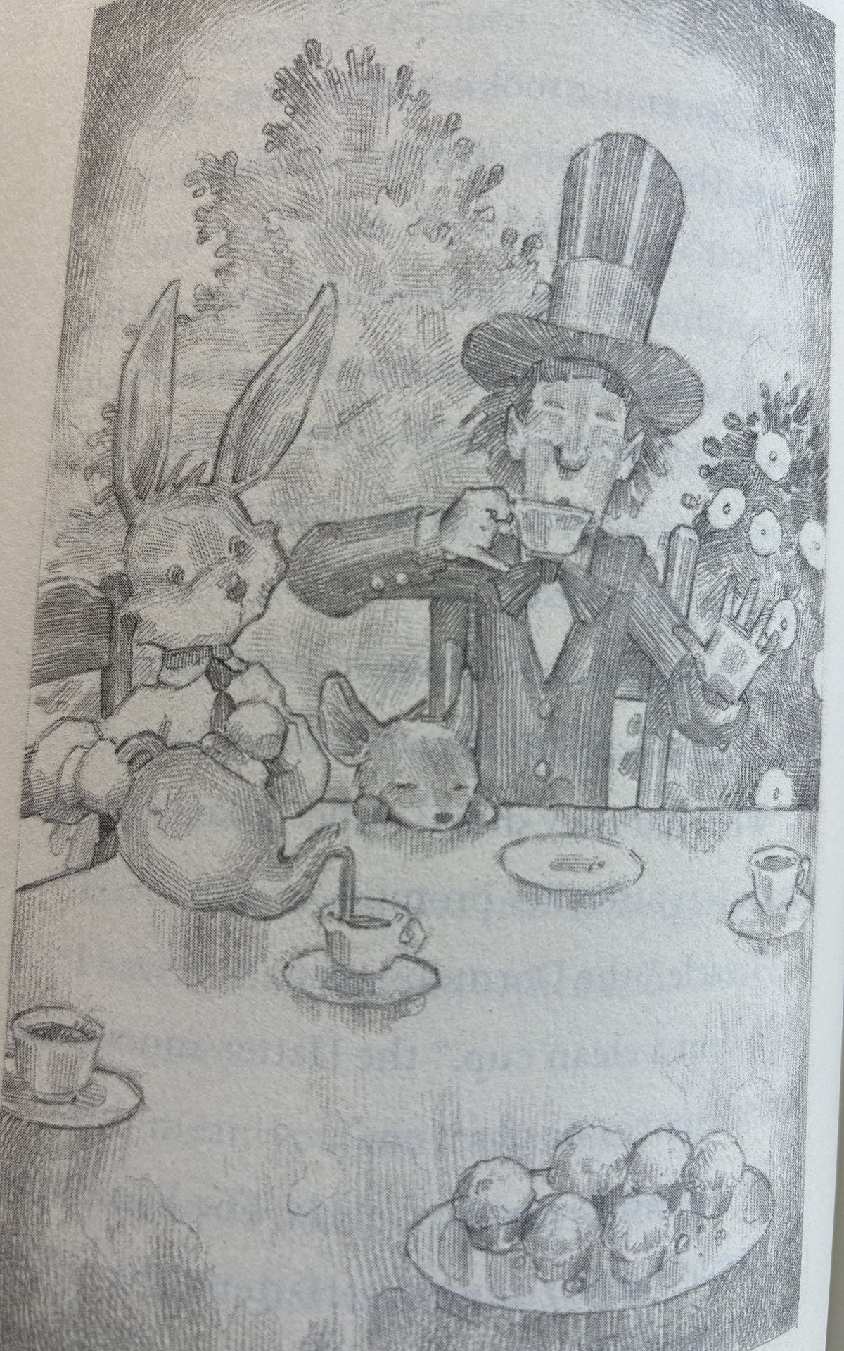 Alice in Wonderland & Through the Looking Glass