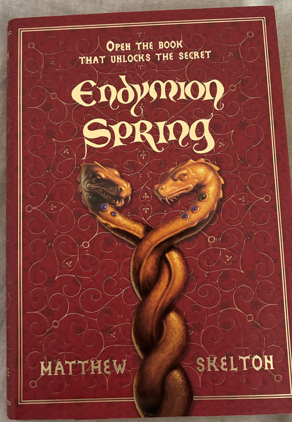 Endymion Spring  - Open the book that unlocks the secret
