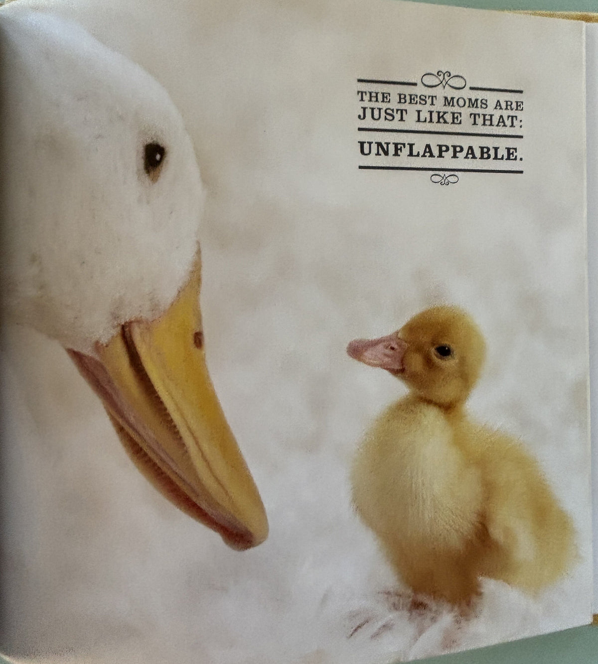Mom, I'm a Lucky Duck - By Boy Elsdale