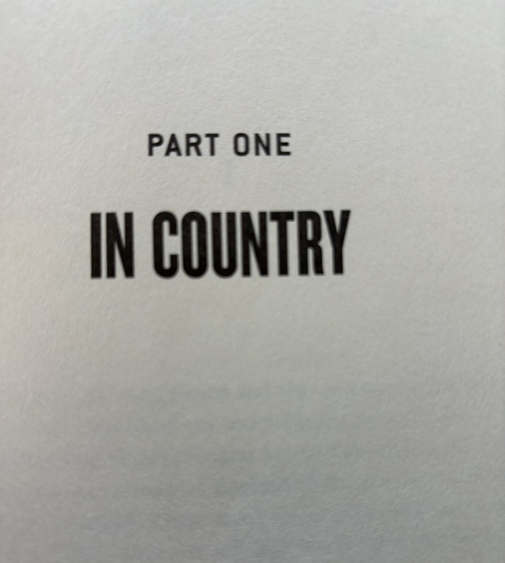 The Boy on the Bridge - A fiction Novel - First Edition