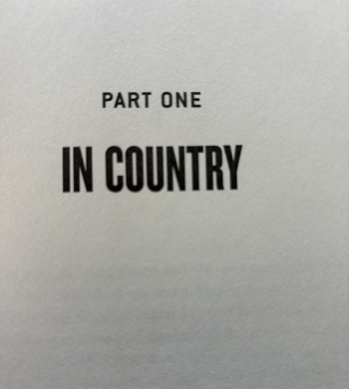 The Boy on the Bridge - A fiction Novel - First Edition