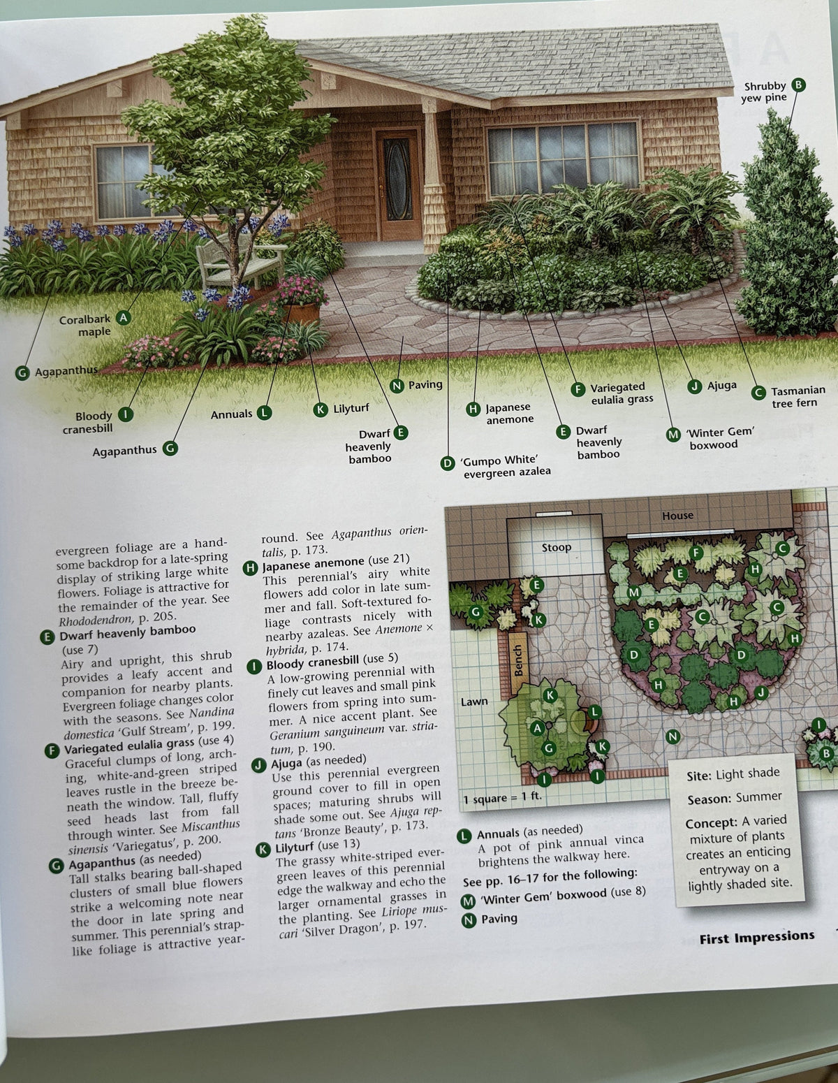 Californis Home Landscaping