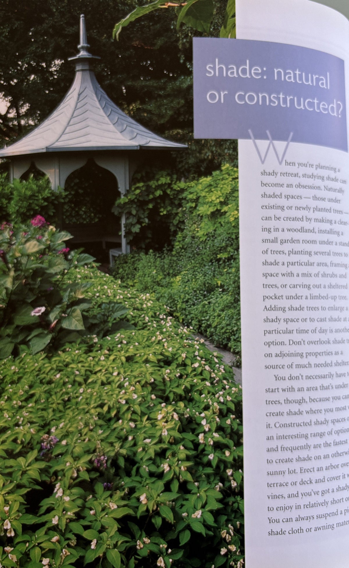 Shady Retreats - Landscaping Ideas