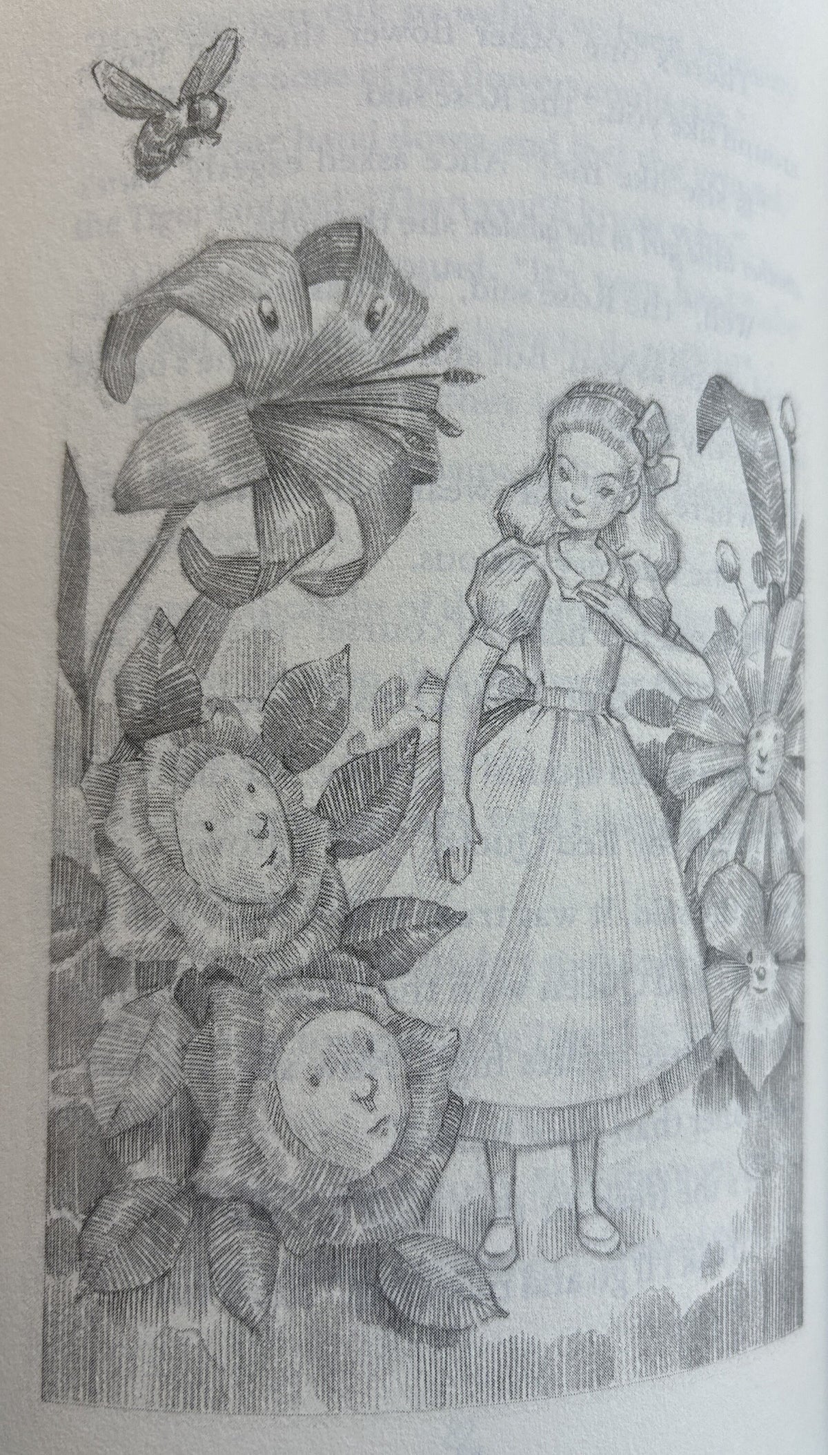Alice in Wonderland & Through the Looking Glass