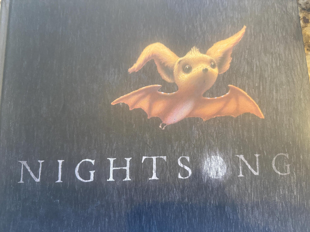 Nightsong by Berk, Ari , Hardcover