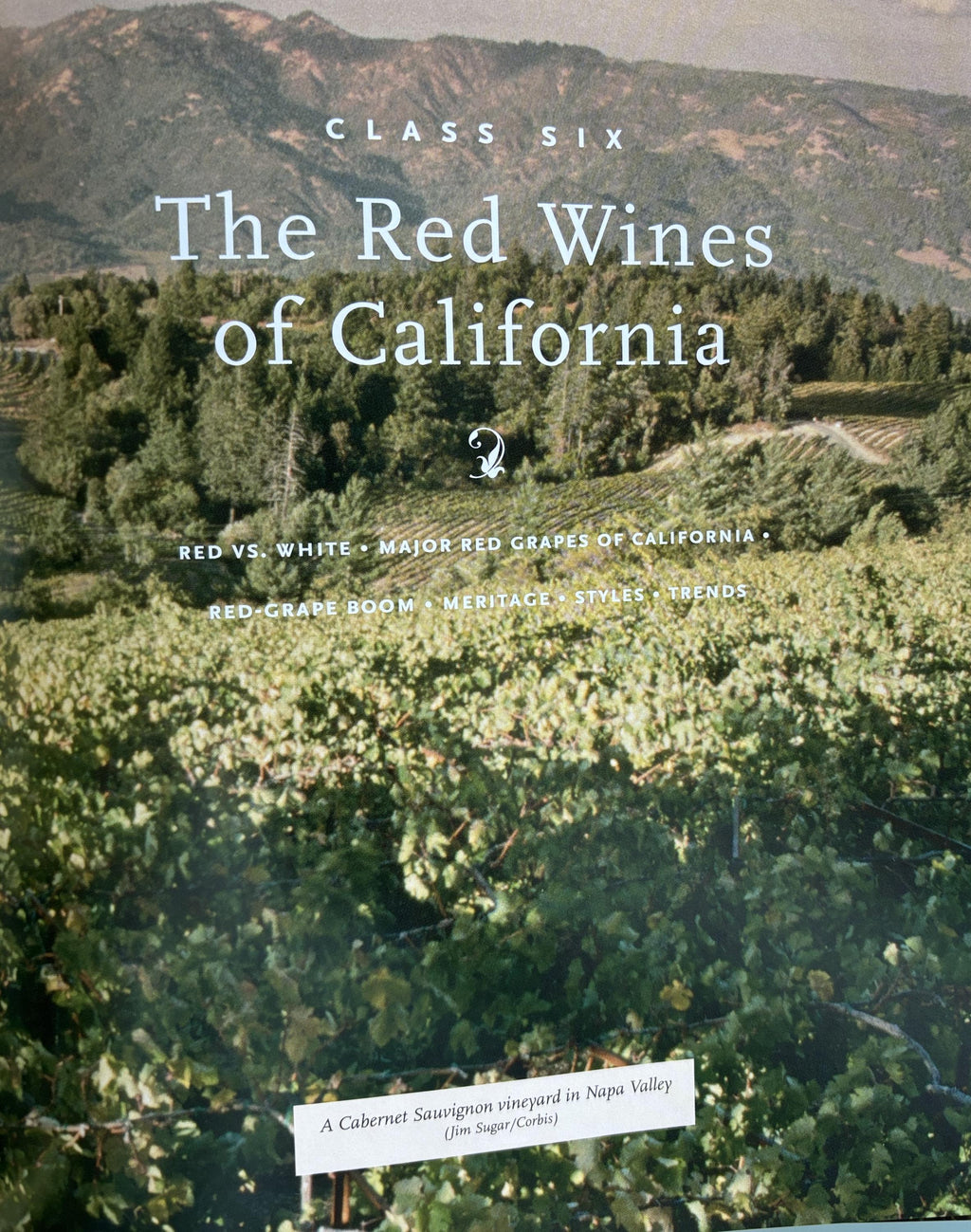 Windows on the World - Complete Wine Course