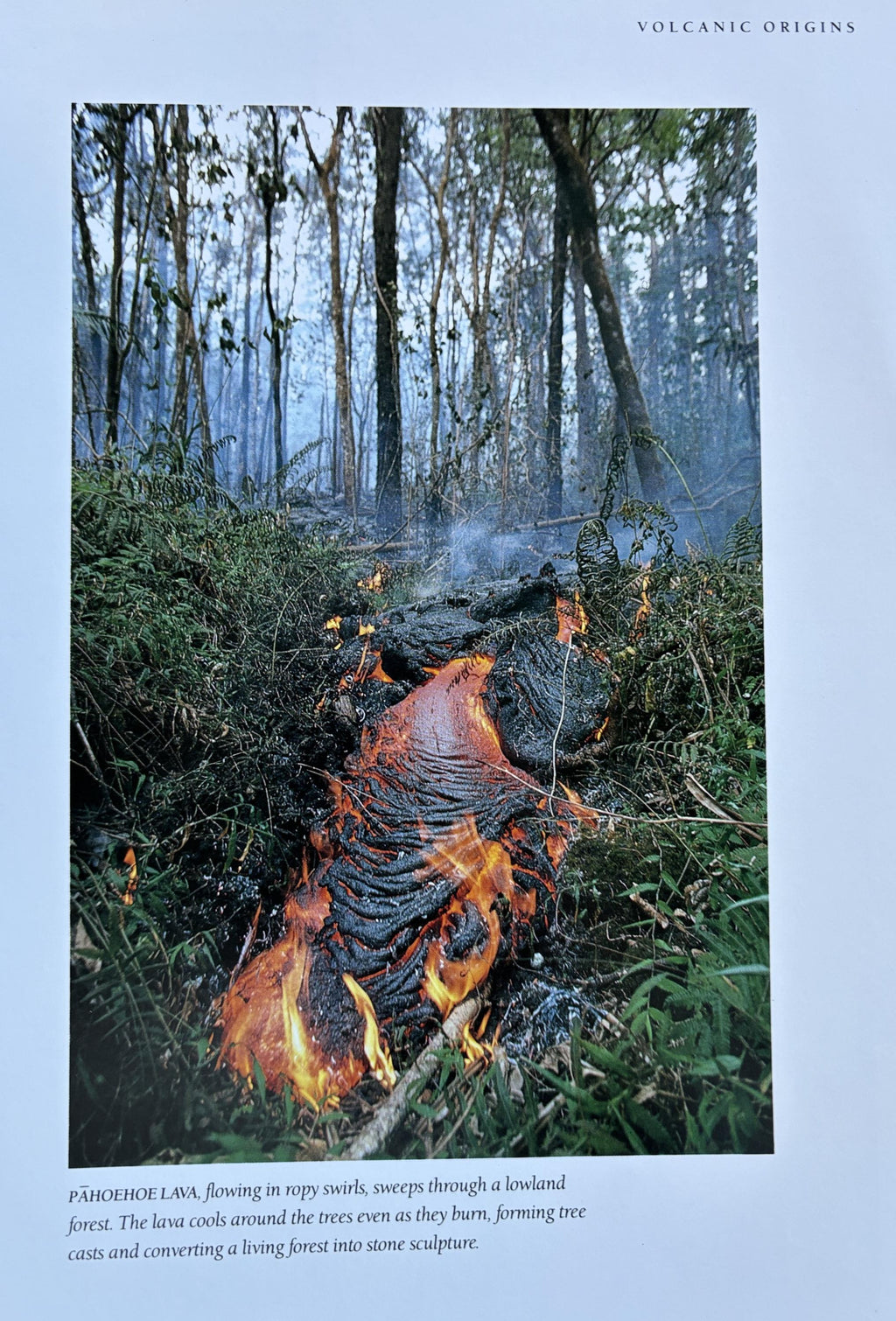 Hawaii The Islands of Life (The Nature Conservancy) 1988