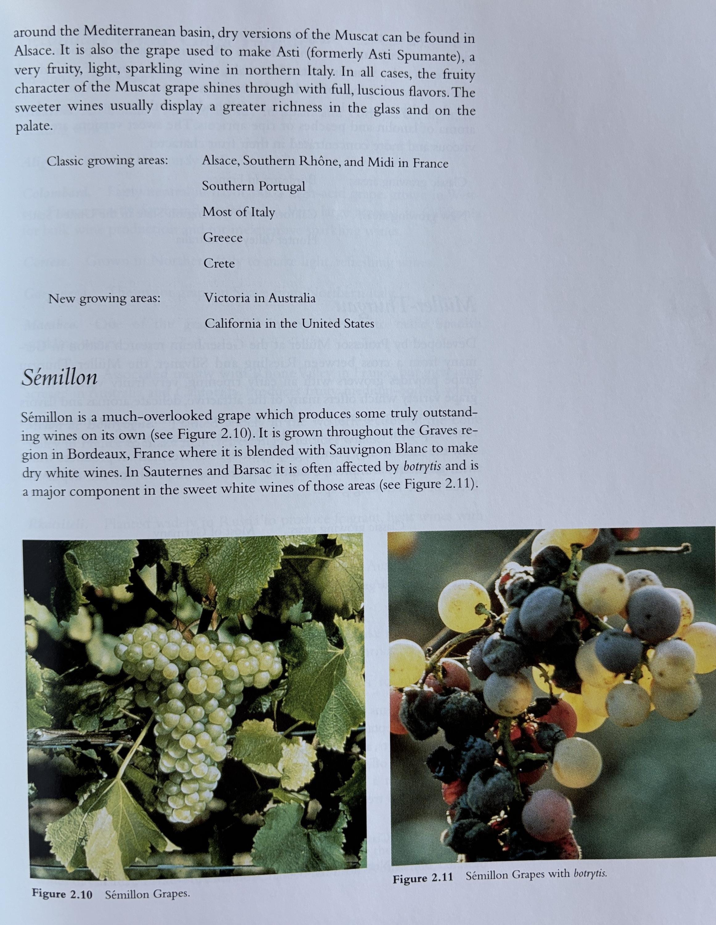 Exploring Wine America's Guide to Wines of the World  1996 Vintag Book