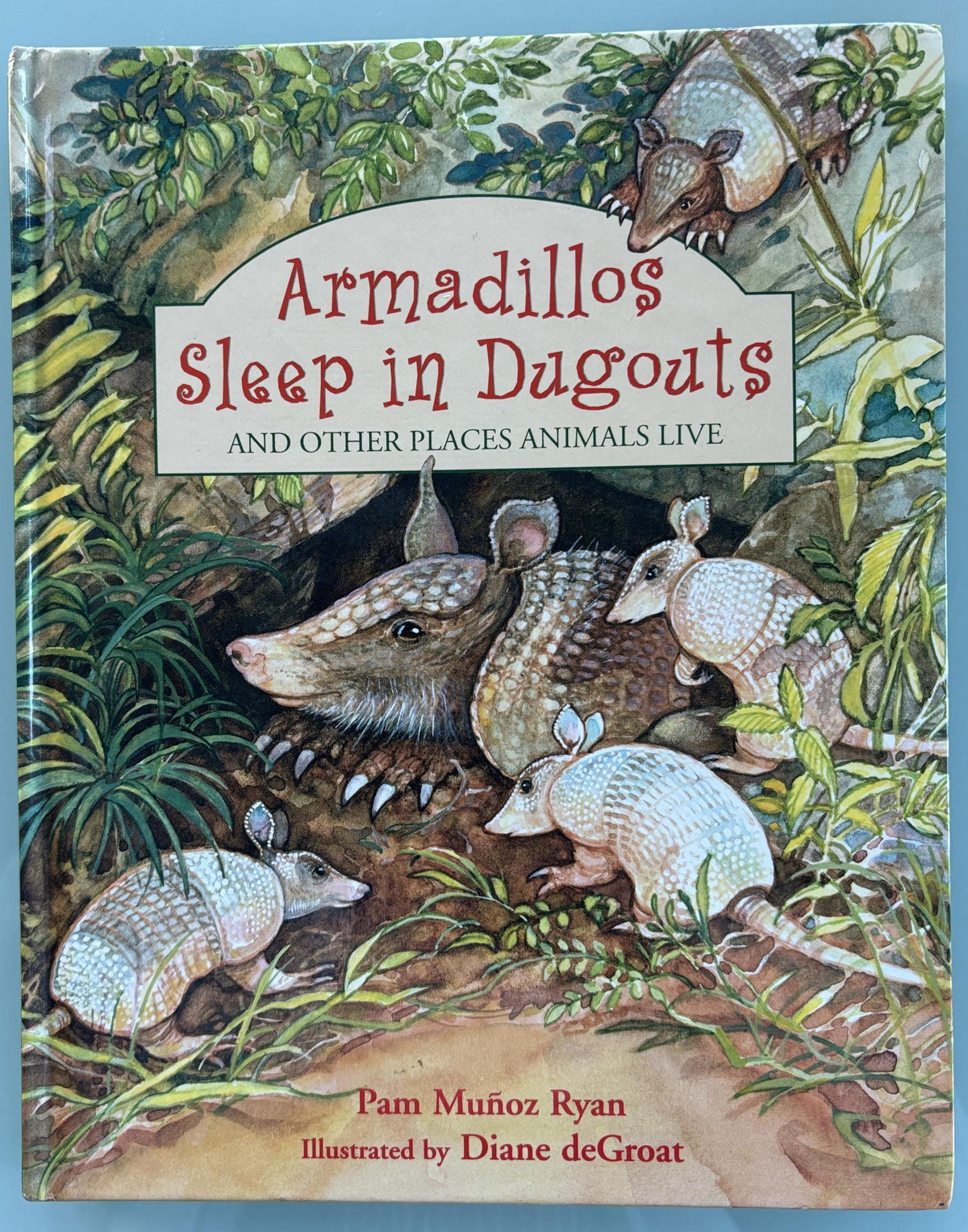 Armadillos Sleep in Dugouts - And Other Places Animals Live