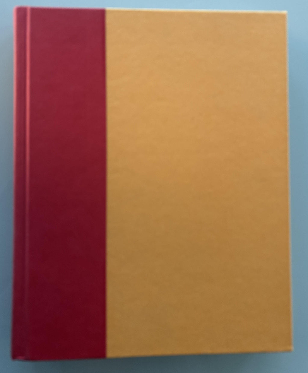 Fiesta at Rick's by Rick Bayless  -  First Edition