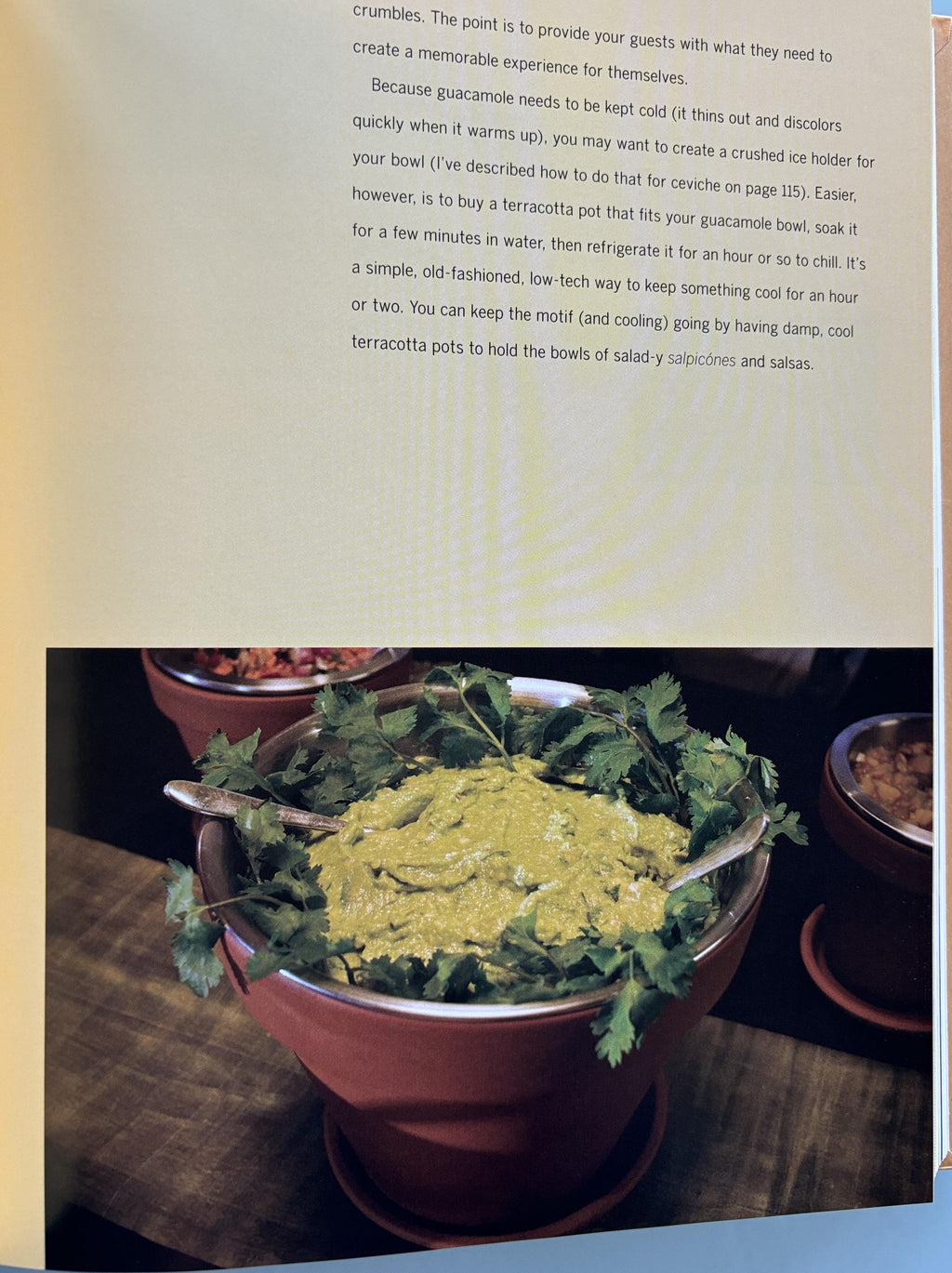 Fiesta at Rick's by Rick Bayless  -  First Edition