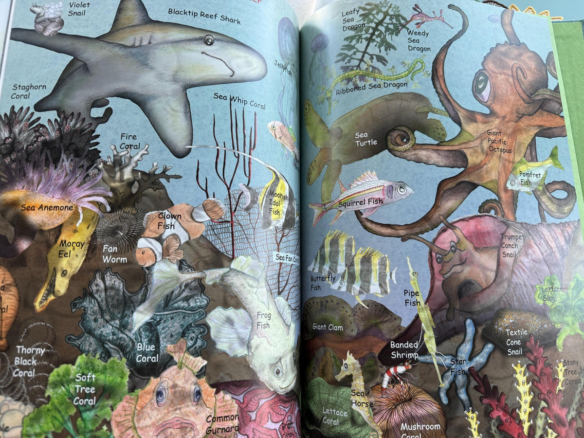 Sea Horse, Run! Tammy Carter Bronson HB Book Indie book Award, 1st Printing