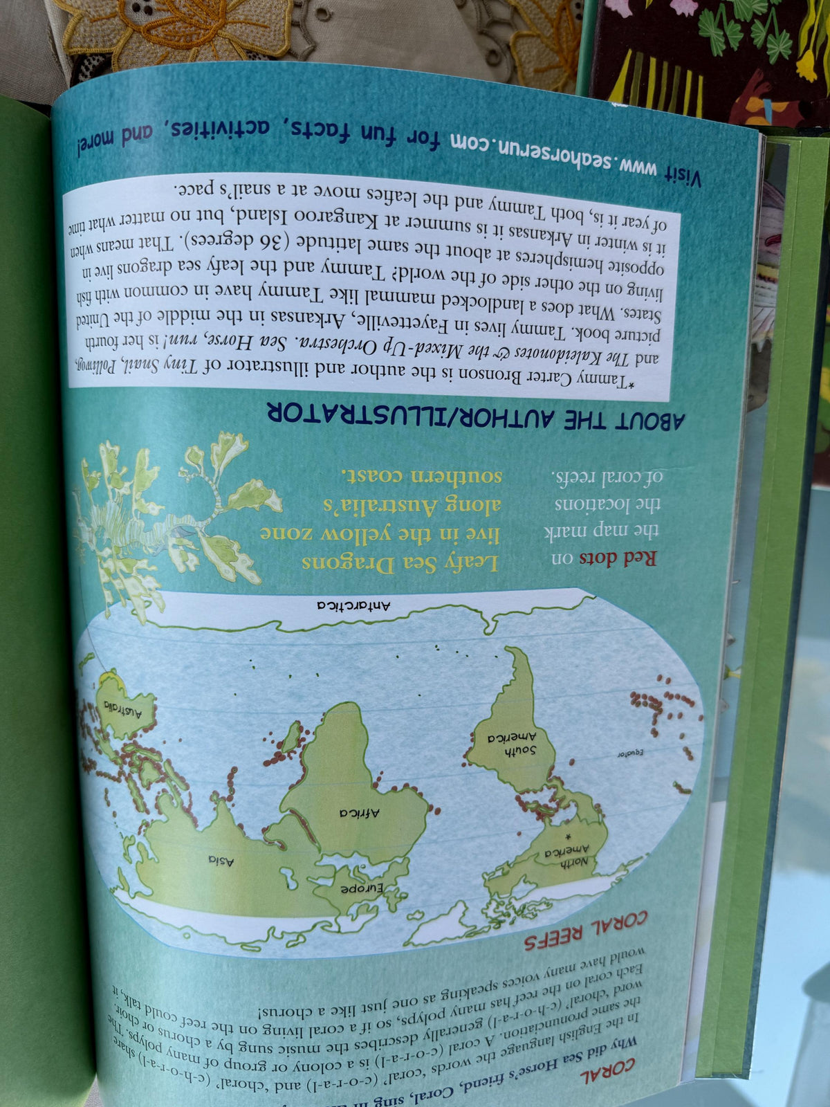 Sea Horse, Run! Tammy Carter Bronson HB Book Indie book Award, 1st Printing