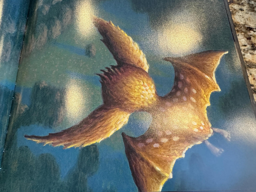 Nightsong by Berk, Ari , Hardcover
