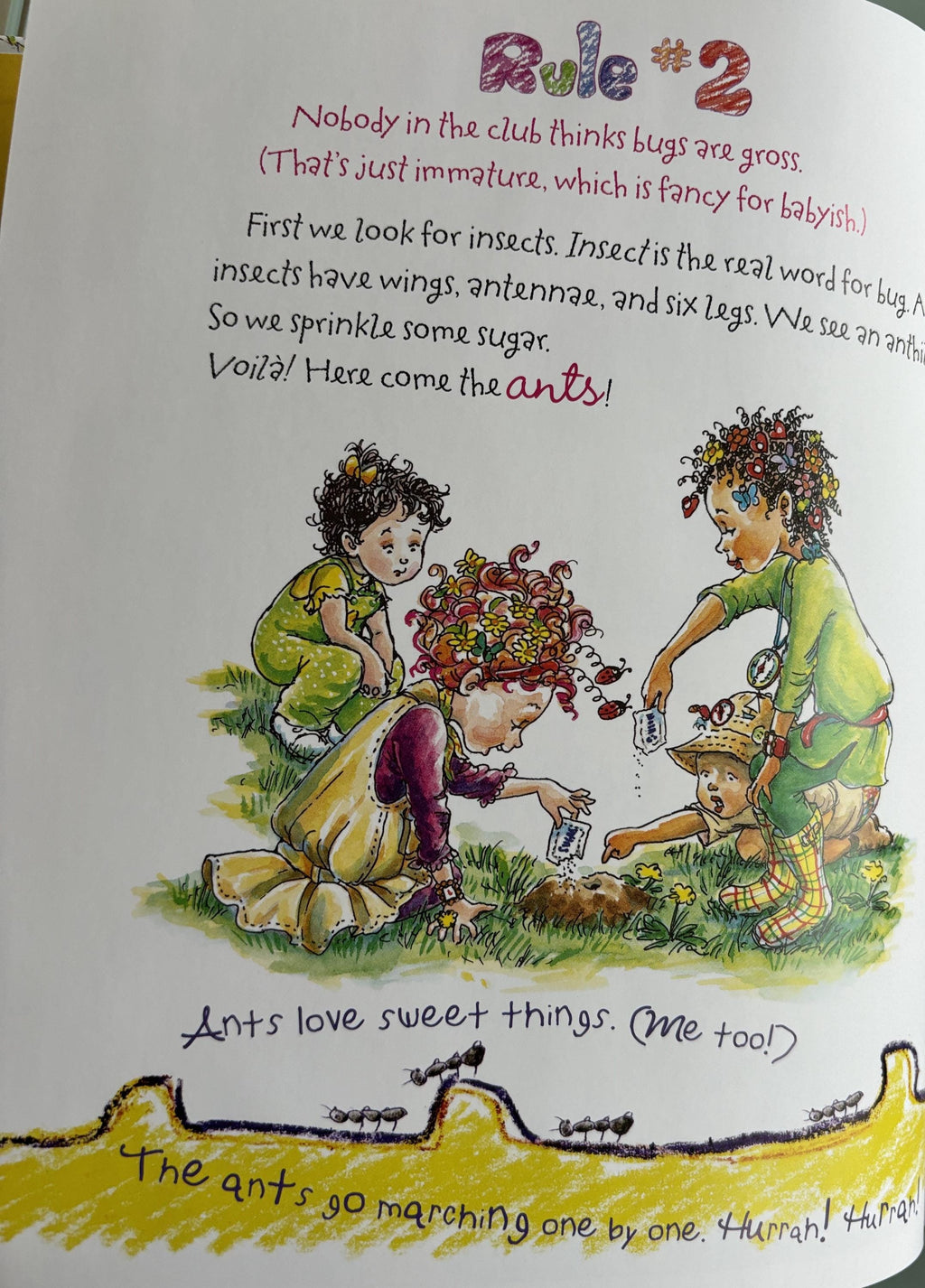 Fancy Nancy - Exploer Extraordinaire!