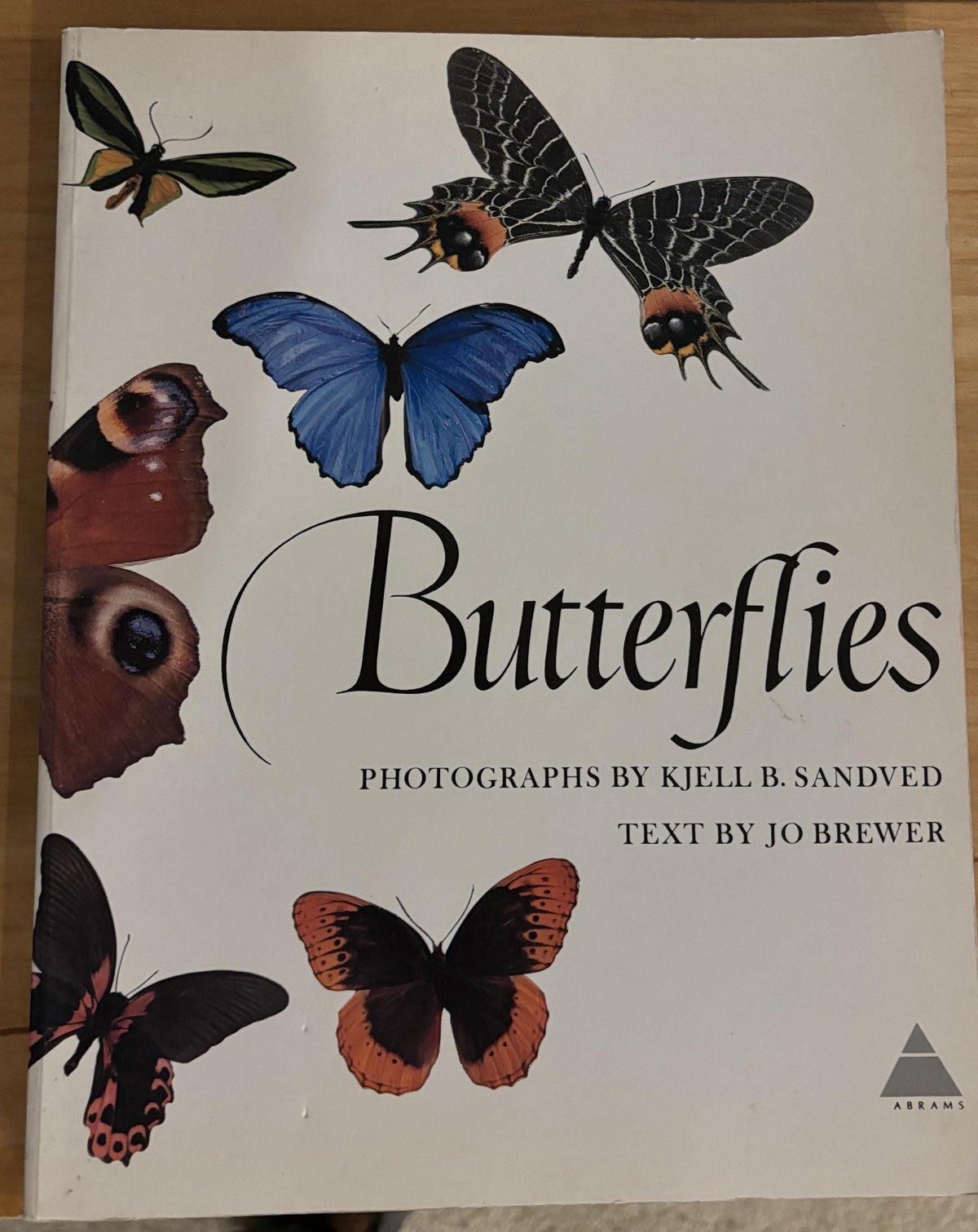 Butterflies - Photographs by Kjell B. Sandved - 1978