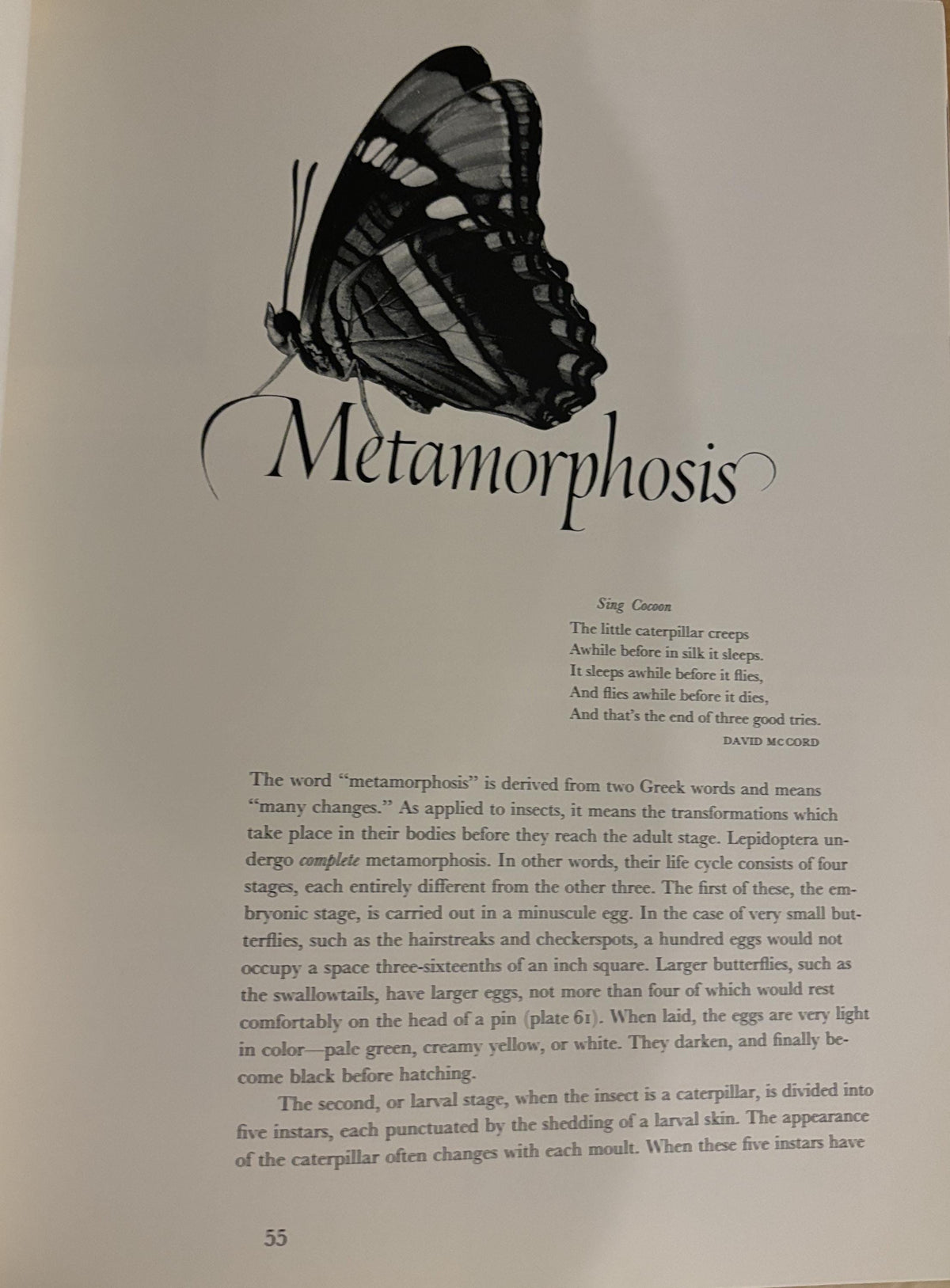 Butterflies - Photographs by Kjell B. Sandved - 1978