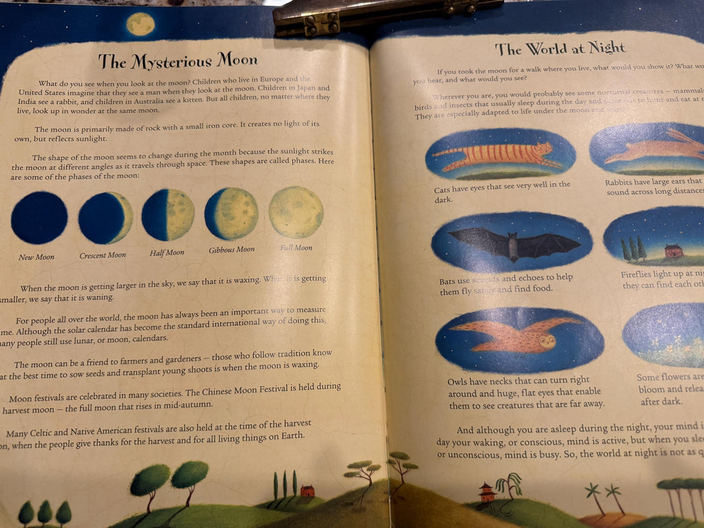 The Sun is Kind of a Big Deal Nick Seluk softcover