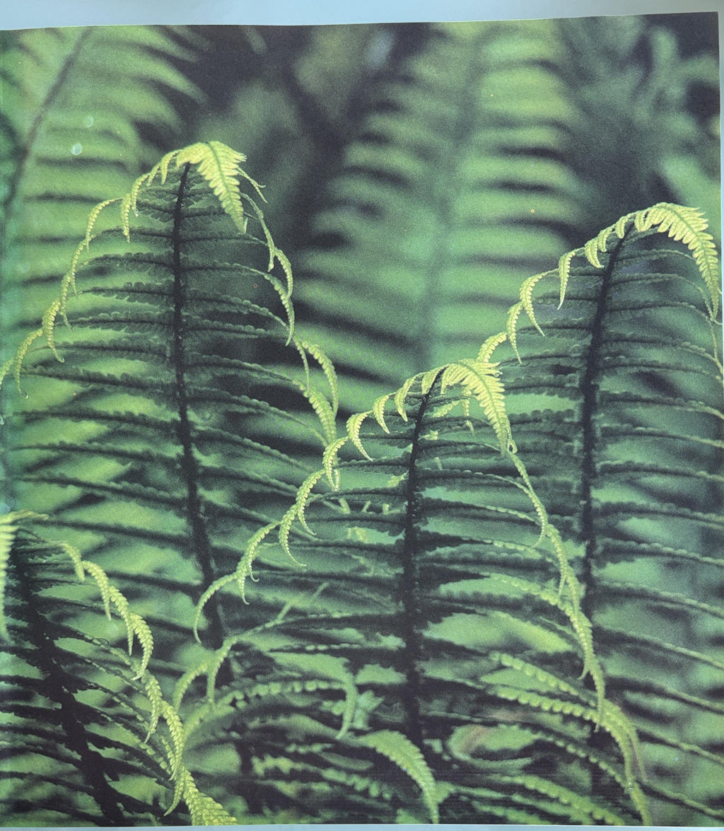Hawaii The Islands of Life (The Nature Conservancy) 1988