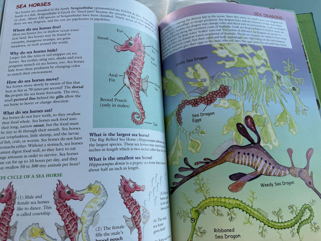 Sea Horse, Run! Tammy Carter Bronson HB Book Indie book Award, 1st Printing