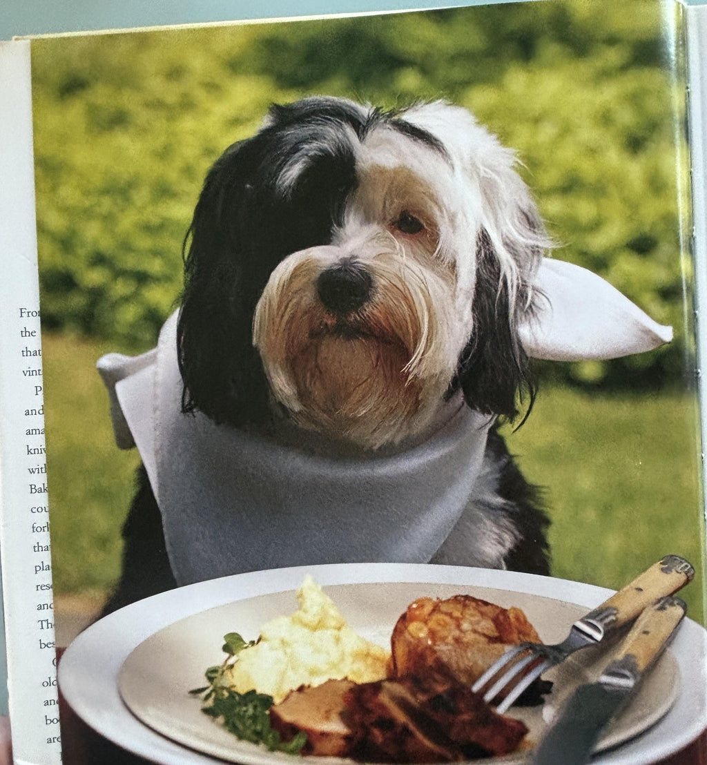 Forks, Knives and Spoons First Edition 1994