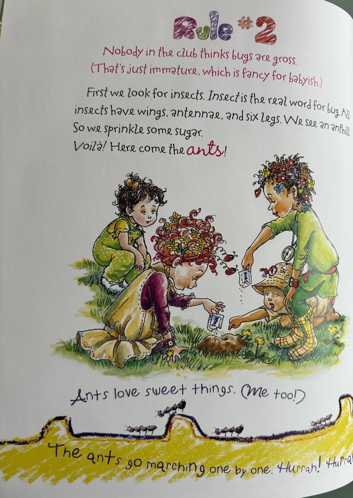 Fancy Nancy - Exploer Extraordinaire!