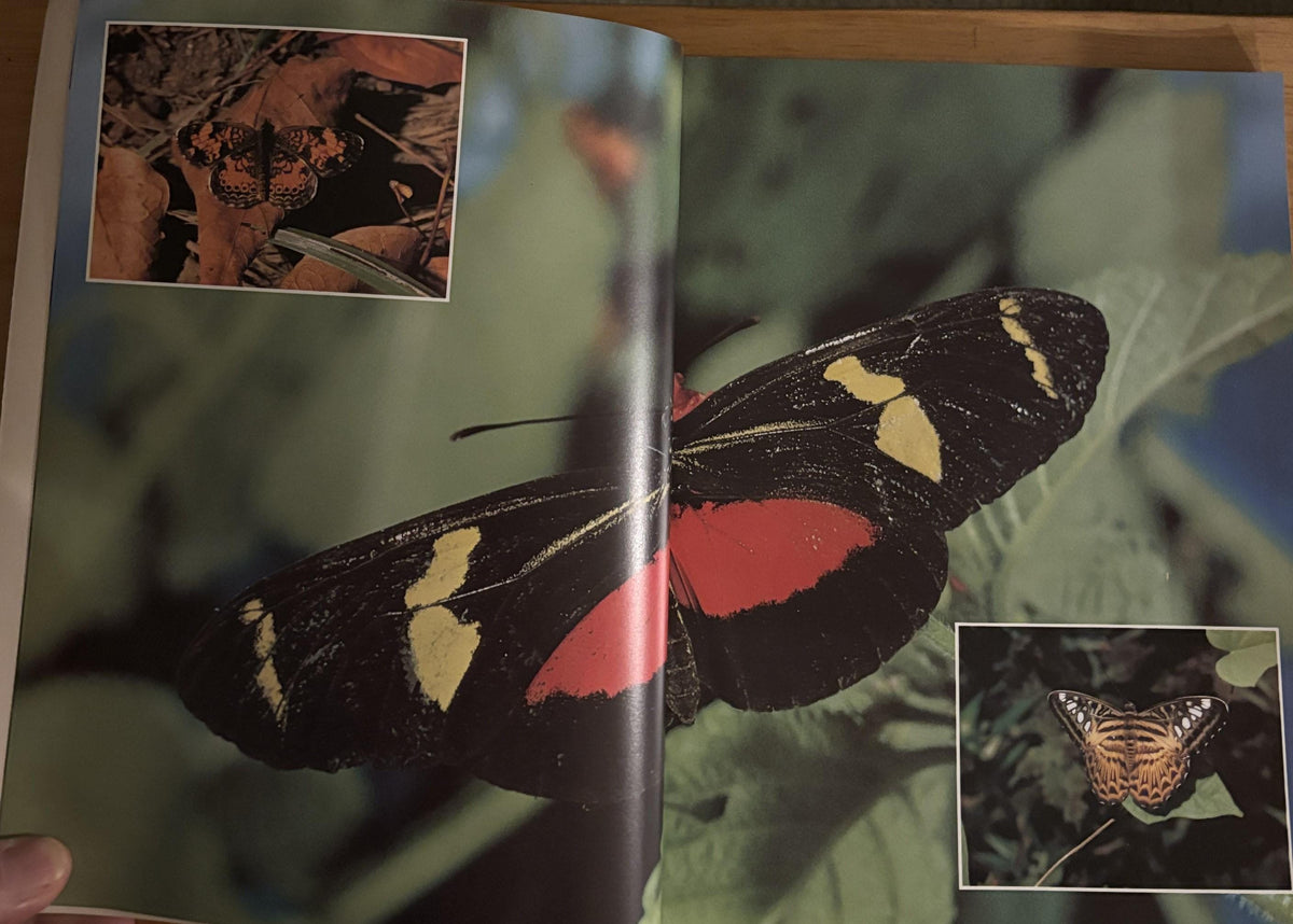 Butterflies - Photographs by Kjell B. Sandved - 1978